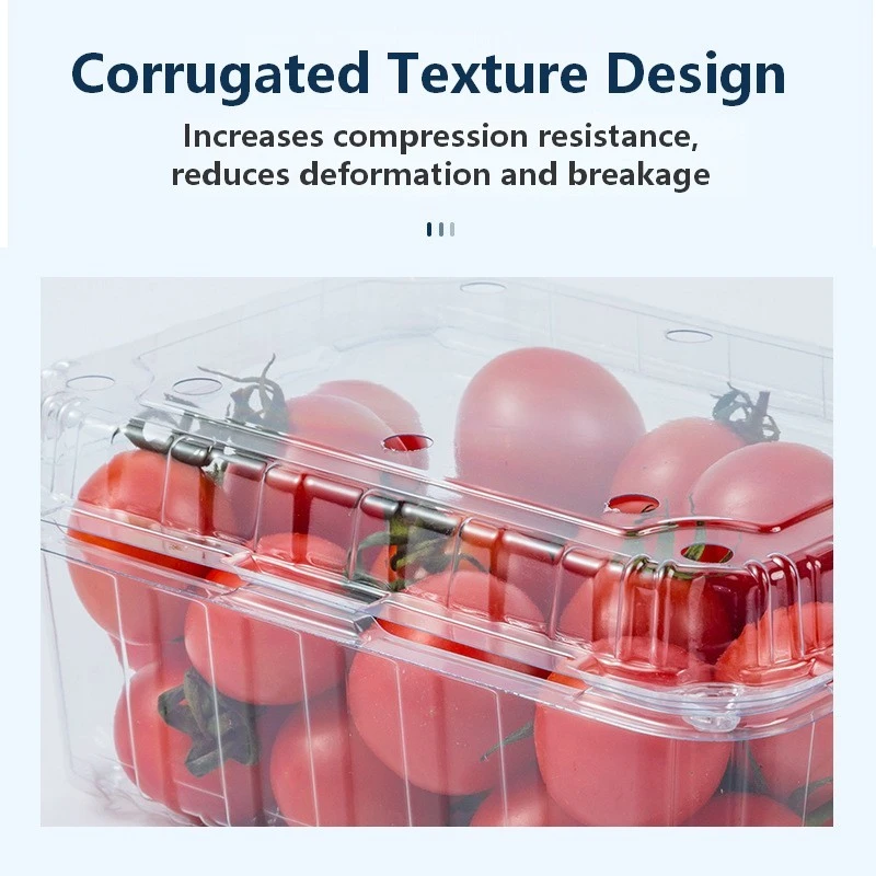 Clamshell Fruit Packaging Box best