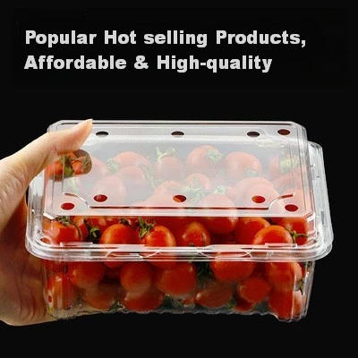 Clamshell Fruit Packaging Box high quality