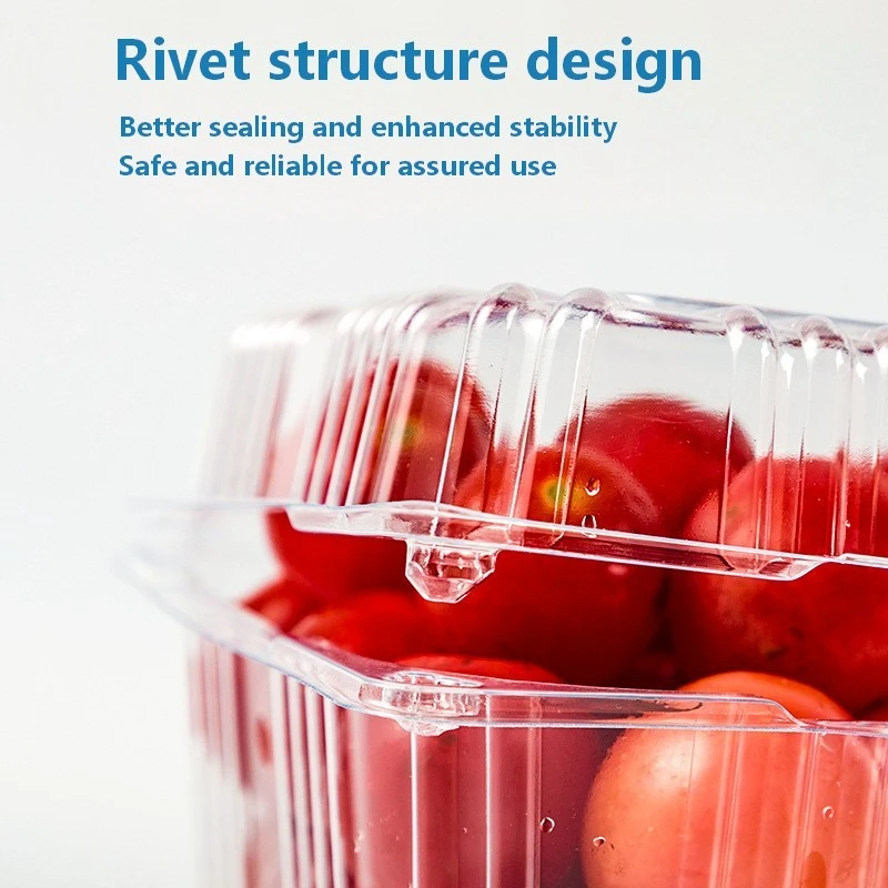 Clamshell Fruit Packaging Box factory