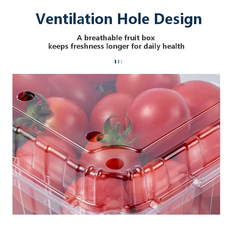 Clamshell Fruit Packaging Box suppliers